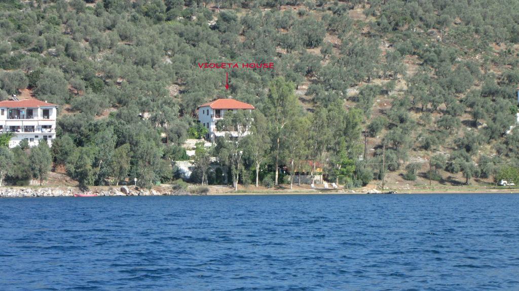 Violetta Studios & Apartments Milina Room photo