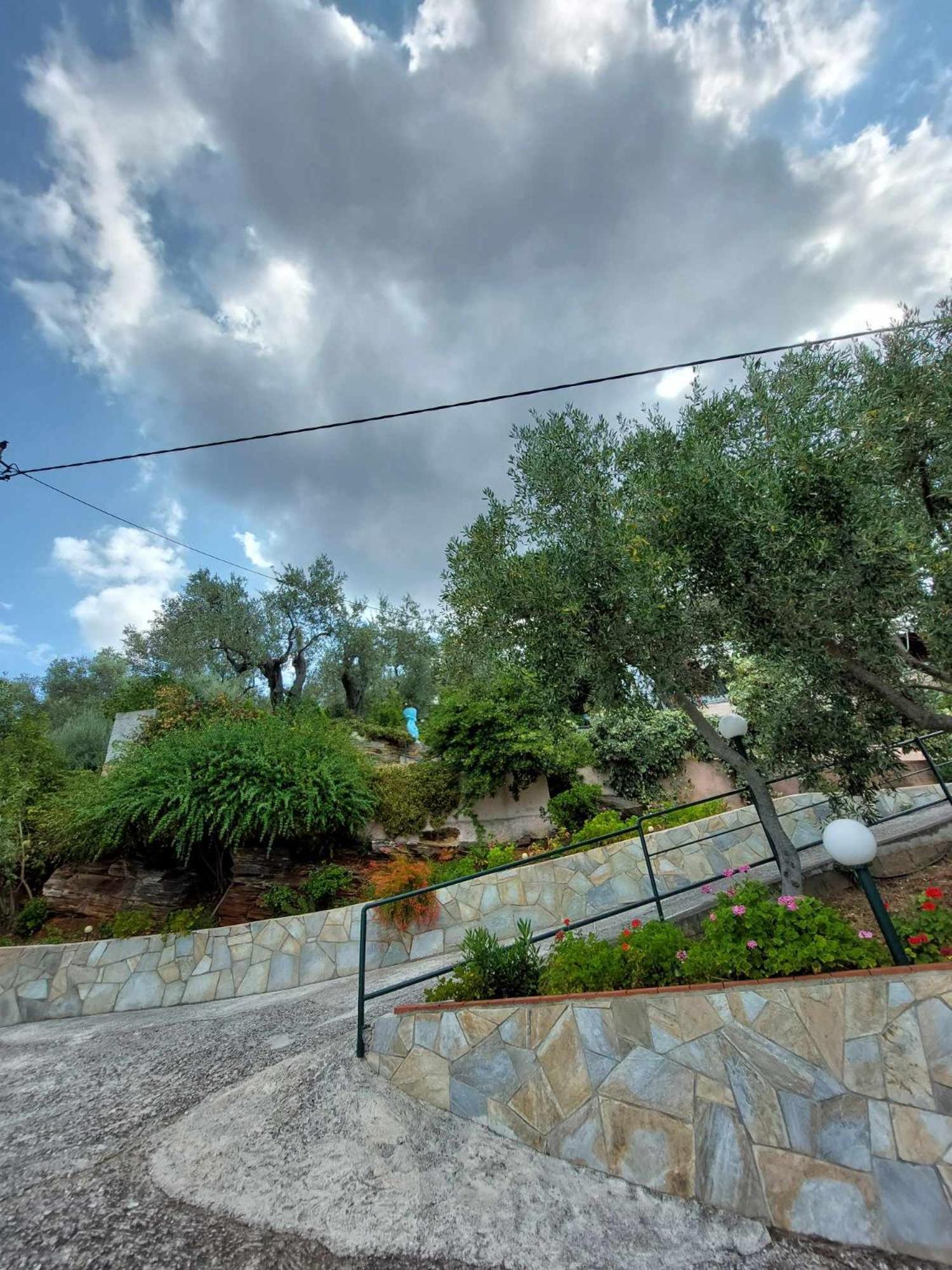 Violetta Studios & Apartments Milina Exterior photo